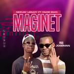 Magnet