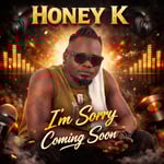 Am sorry By Honey k