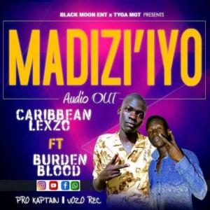 Madizi