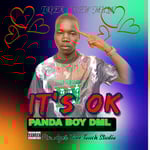 It's OK Panda Boy DML