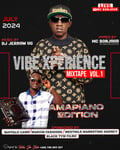 Vibe xprience vol 1