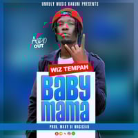 Baby Mama-Wiz Tempah Unruly