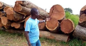 Joint  Security Meeting in Adjumani Over Zoka Forest Yield Fruits