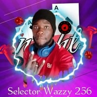 Selector wazzy 256