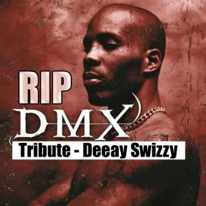 DMX Tribute