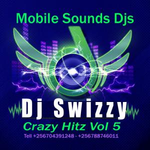 Crazy Hitz Mixtape Vol 5 intro